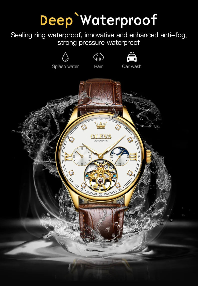 Luxury Swiss Automatic Watch